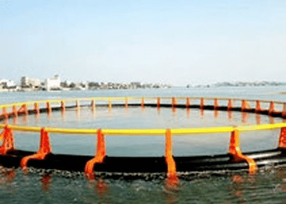 JWELL Profile Extrusion Machine เครื่องทำ PE Marine Pedal